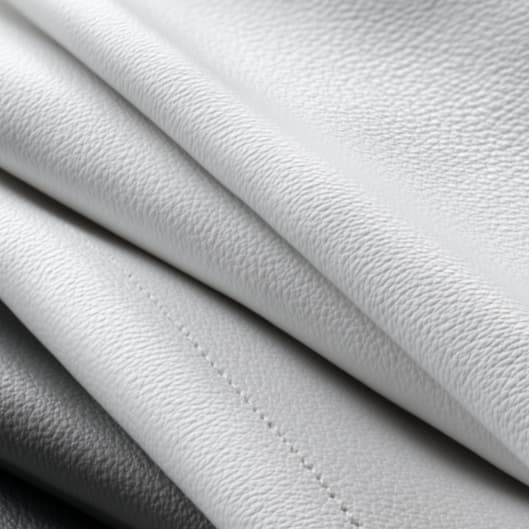 Classic Society Membership